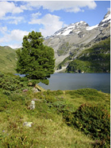 Schneeparadies